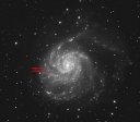M101SNtext.jpg