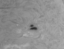 Dateiname=Sonne2~7.jpg
Dateigröße=330KB
Abmessungen: 971x750
hinzugefügt am: 14.September 2011 Sonne2~7.jpg
