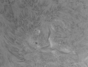Dateiname=Sonne4~6.jpg
Dateigröße=323KB
Abmessungen: 992x757
hinzugefügt am: 20.September 2011 Sonne4~6.jpg