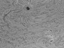 Dateiname=Sonne4~7.jpg
Dateigröße=346KB
Abmessungen: 969x729
hinzugefügt am: 04.April 2012 Sonne4~7.jpg