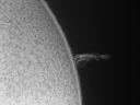 Dateiname=Sonne8~1.jpg
Dateigröße=331KB
Abmessungen: 1005x761
hinzugefügt am: 17.Juni 2013 Sonne8~1.jpg